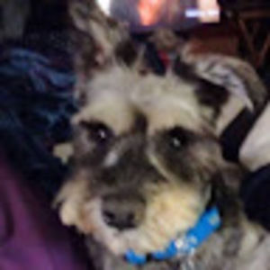 Meet your Posher, Rev. dori michele